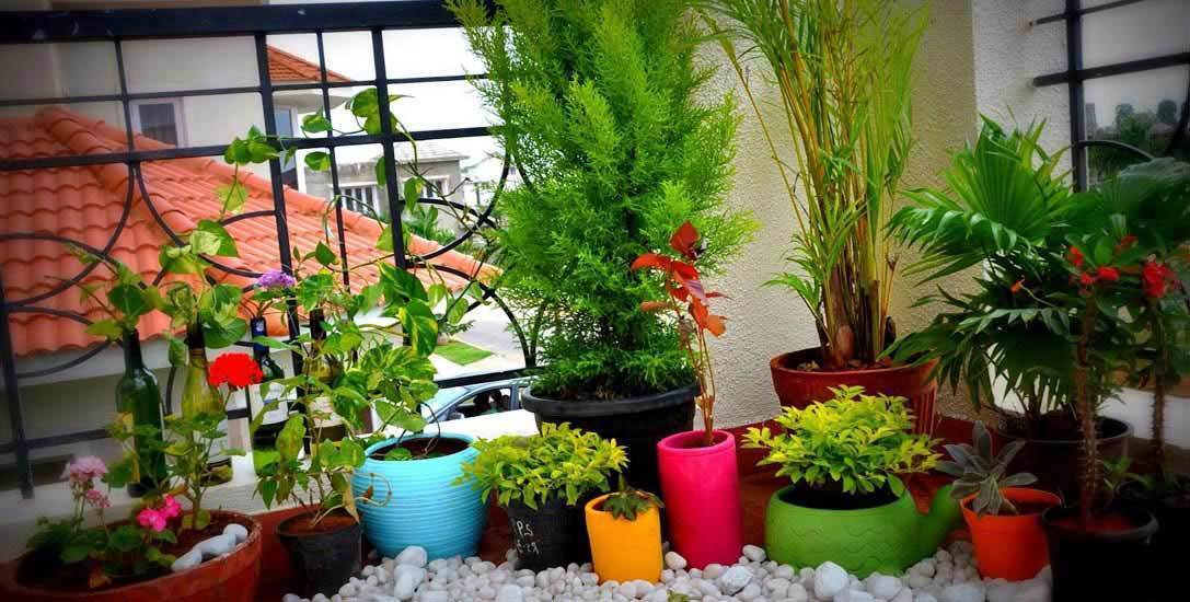 N K Agrotech in Vidyanagar, Gandhidham - Best Plant Nurseries in ...