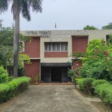 tobacco research institute Center for on and Health | College of Medicine Zhengzhou Tobacco Research Institute, China