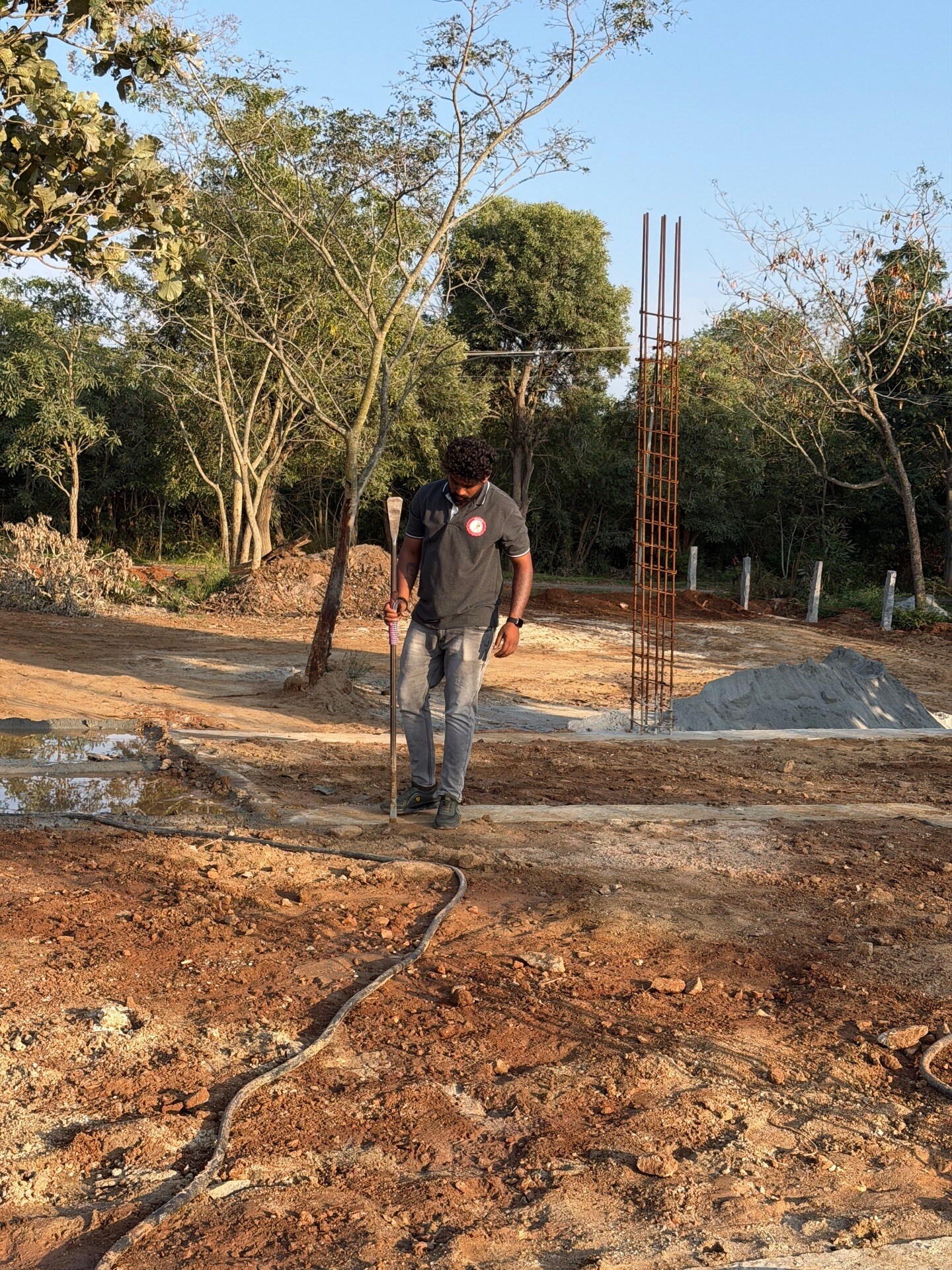 Pest Control Services in Shoolagiri, Hosur - Nearby Pest Treatment ...