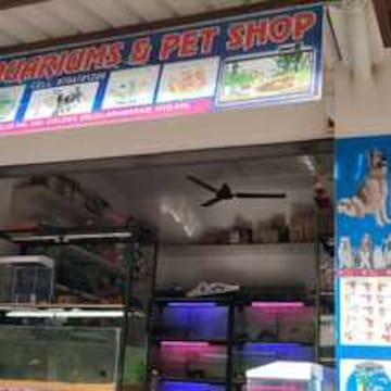 Divya Aquarium And Pet Shop in Jeedimetla Hyderabad Best Pet Accessory Dealers near me in Hyderabad Justdial