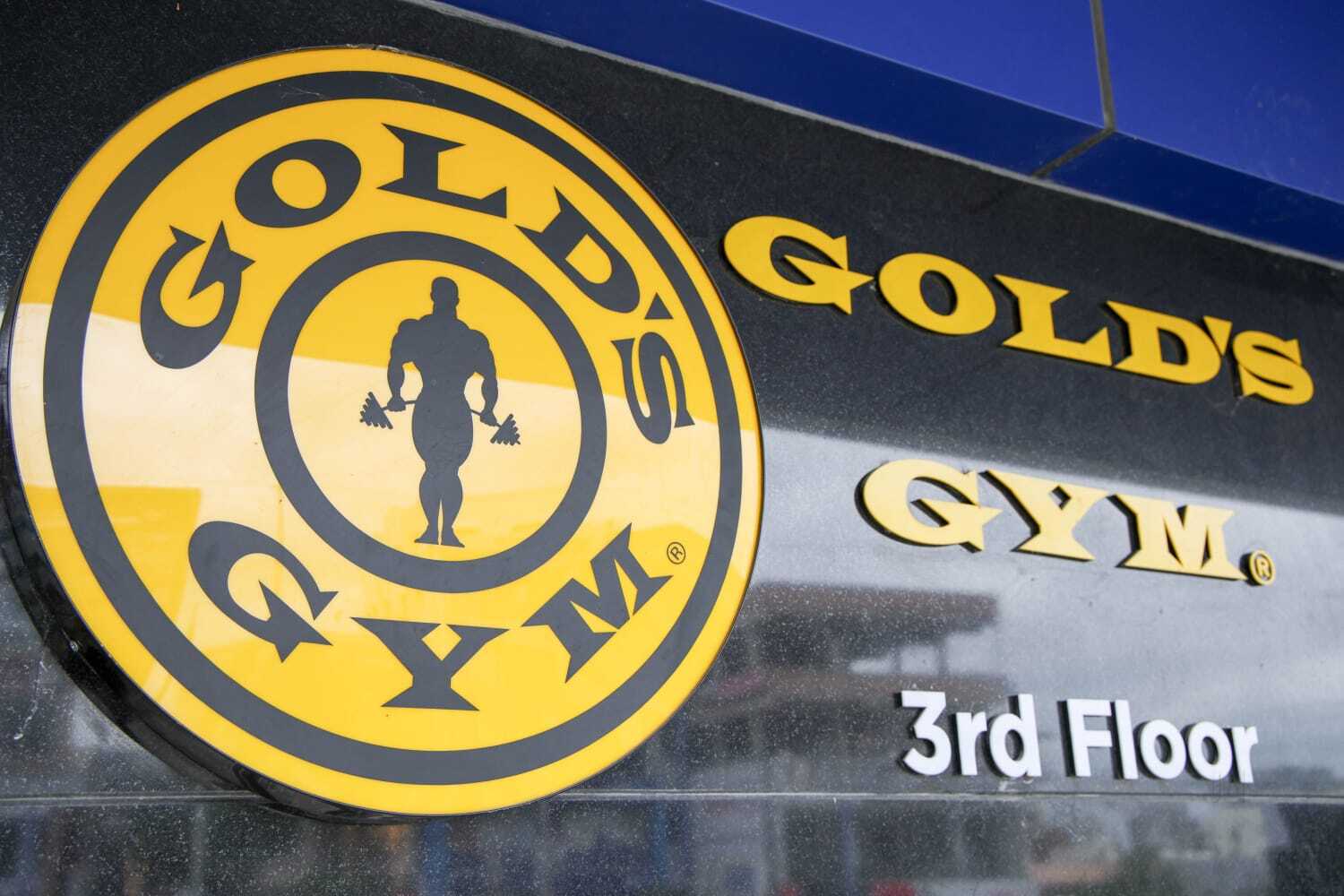 GOLD'S GYM サイン入り写真 Gold's Gym in Narsingi,Hyderabad - Gyms near me in Hyderabad