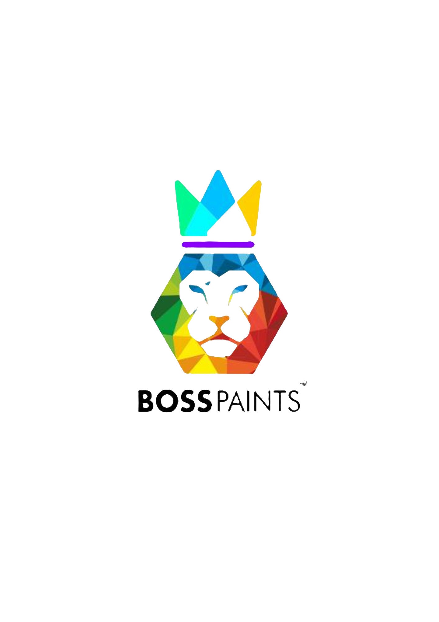 Boss Paints in Kattedan, Hyderabad - Best Paint Dealers in Hyderabad ...
