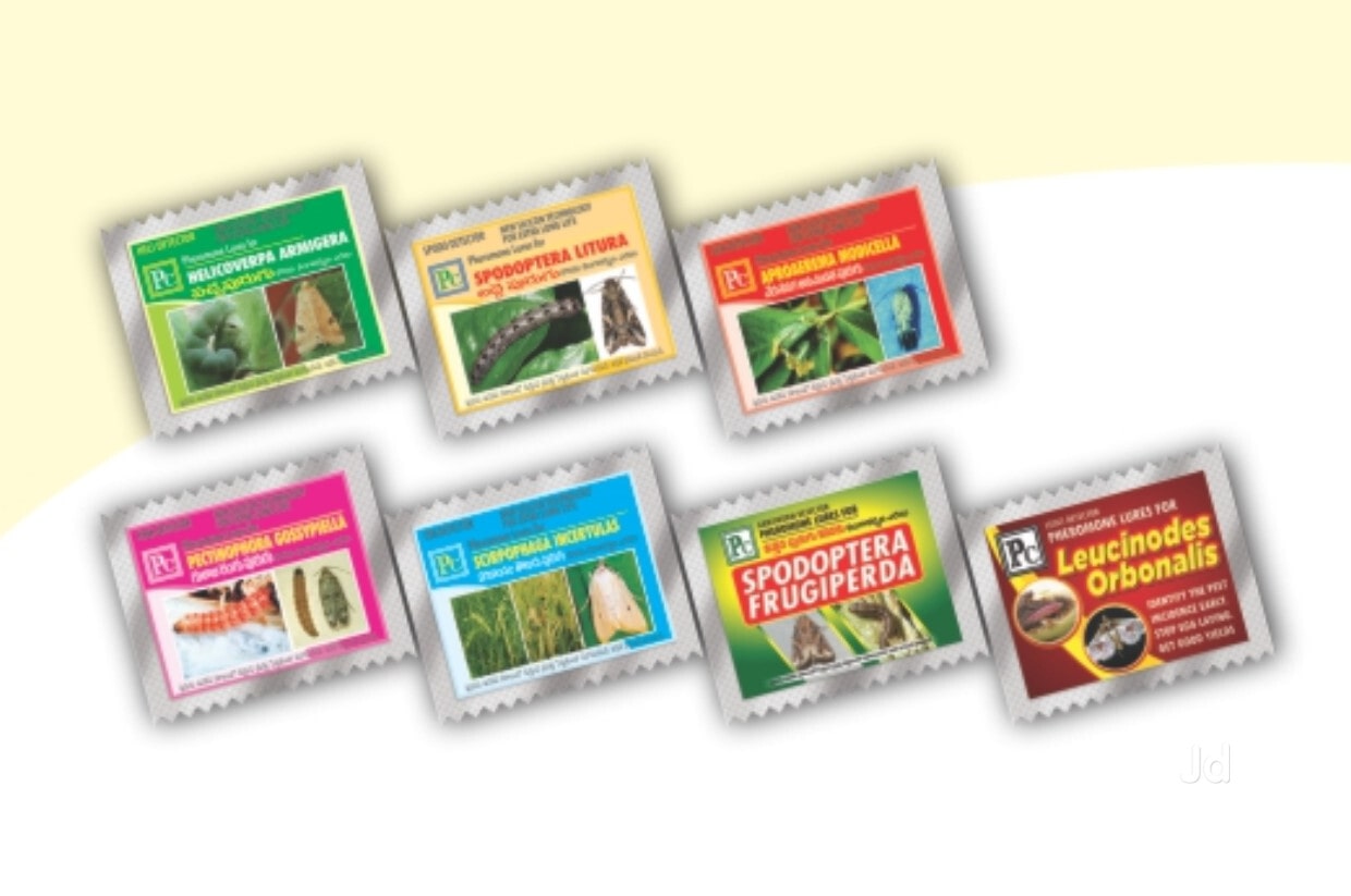 Bactrocera Dorsalis Oriental Fruit Fly Price Starting From Rs 100