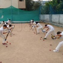 Sg Yellow Cricket Ball Sg Yellow Cricket Turf Ball Price