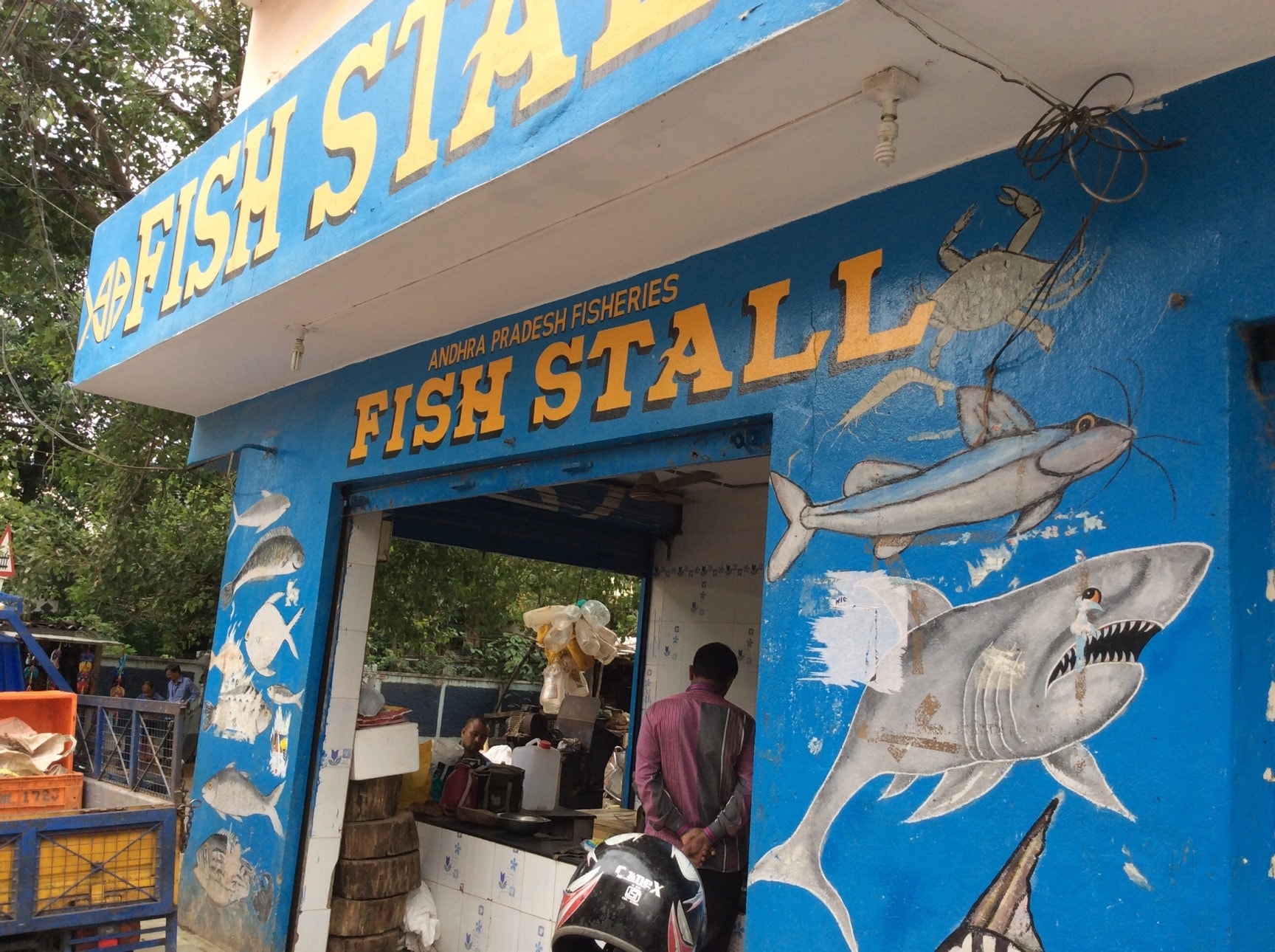 Top Fish Home Delivery near Jrs Diabetes Wellness Centre Rd Colony ...