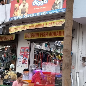 Dolphin Fish Aquarium pet Shop in Sikar Road Jaipur Best Aquariums near me in Jaipur Justdial