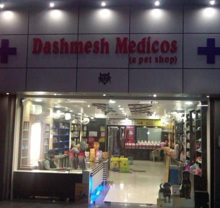 In Hyderabad Veterinary Medicine Shop Near Me ARMOYA Dog Cough
