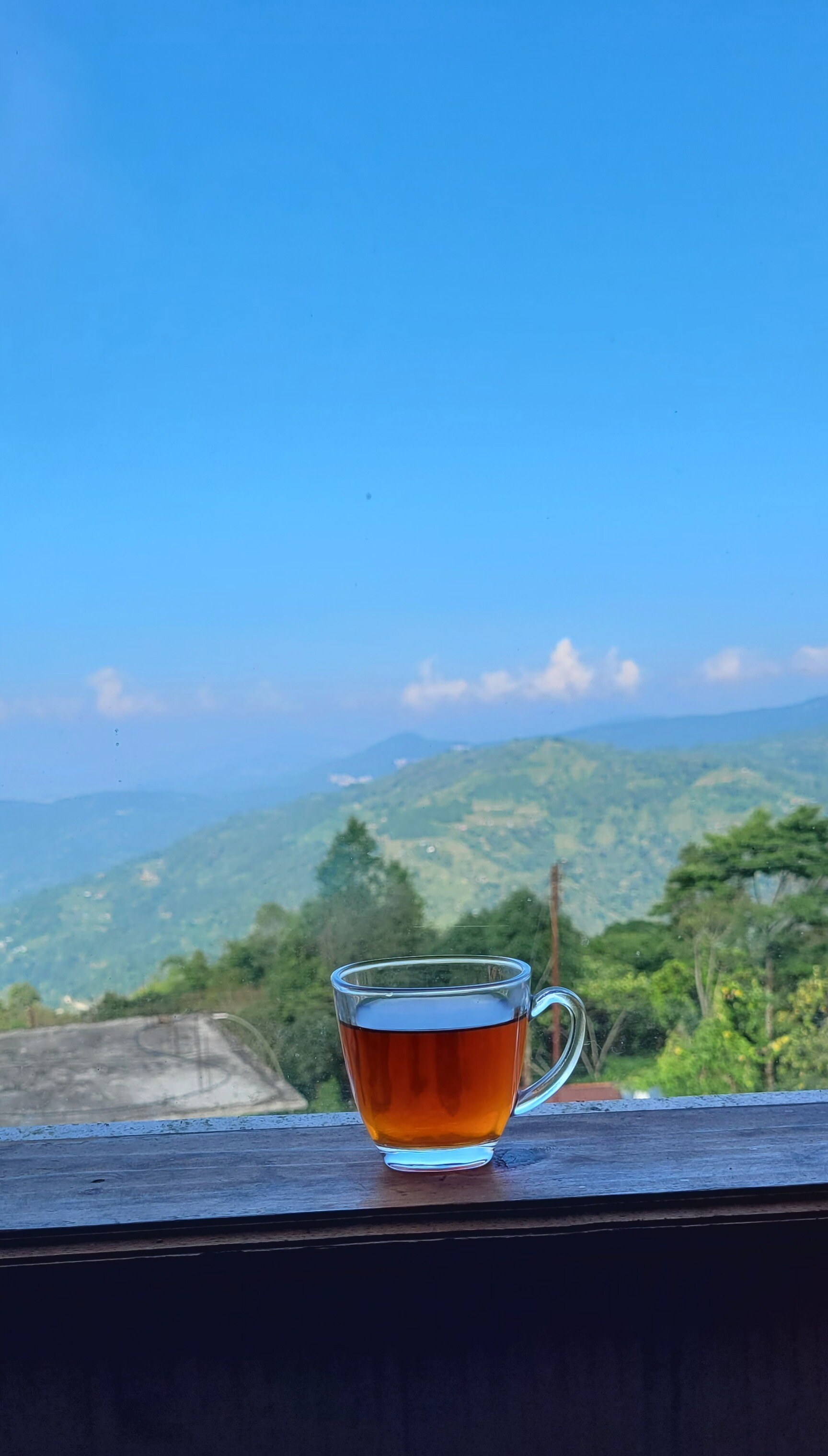 Diamond Tea House in Gariahat, Kolkata - Best Assam Tea