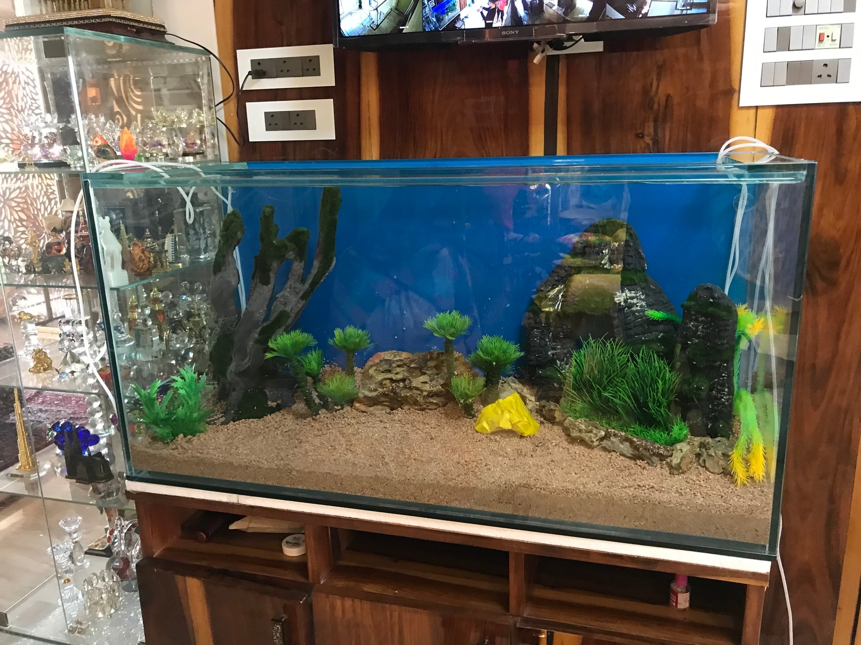 Aquariums Fish Vending Machine Bass Pro Shop Nanchang Sunac Ocean