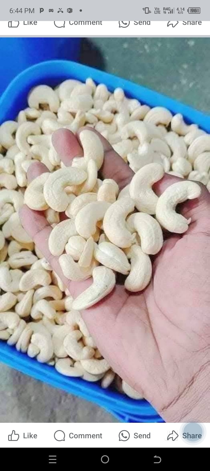 Ghee Price Starting From Rs Find Verified Sellers in