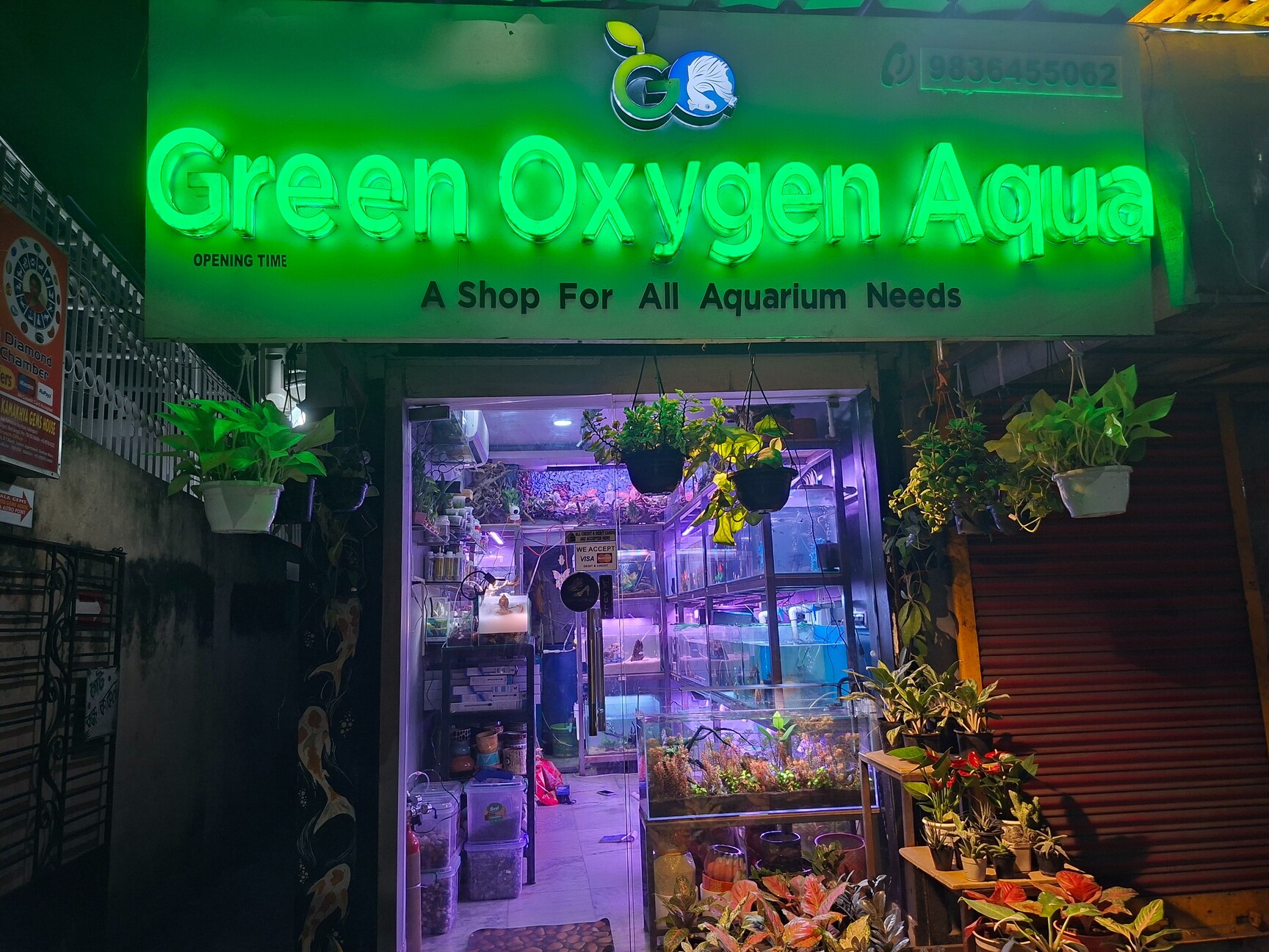 Aquarium Fish Wholesalers in Singhi Bagan, Kolkata - Wholesale Aquarium ...
