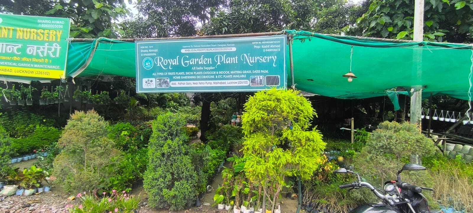 Royal Garden Plant Nursery in Malihabad, Lucknow - Best Plant Nurseries in  Lucknow - Justdial