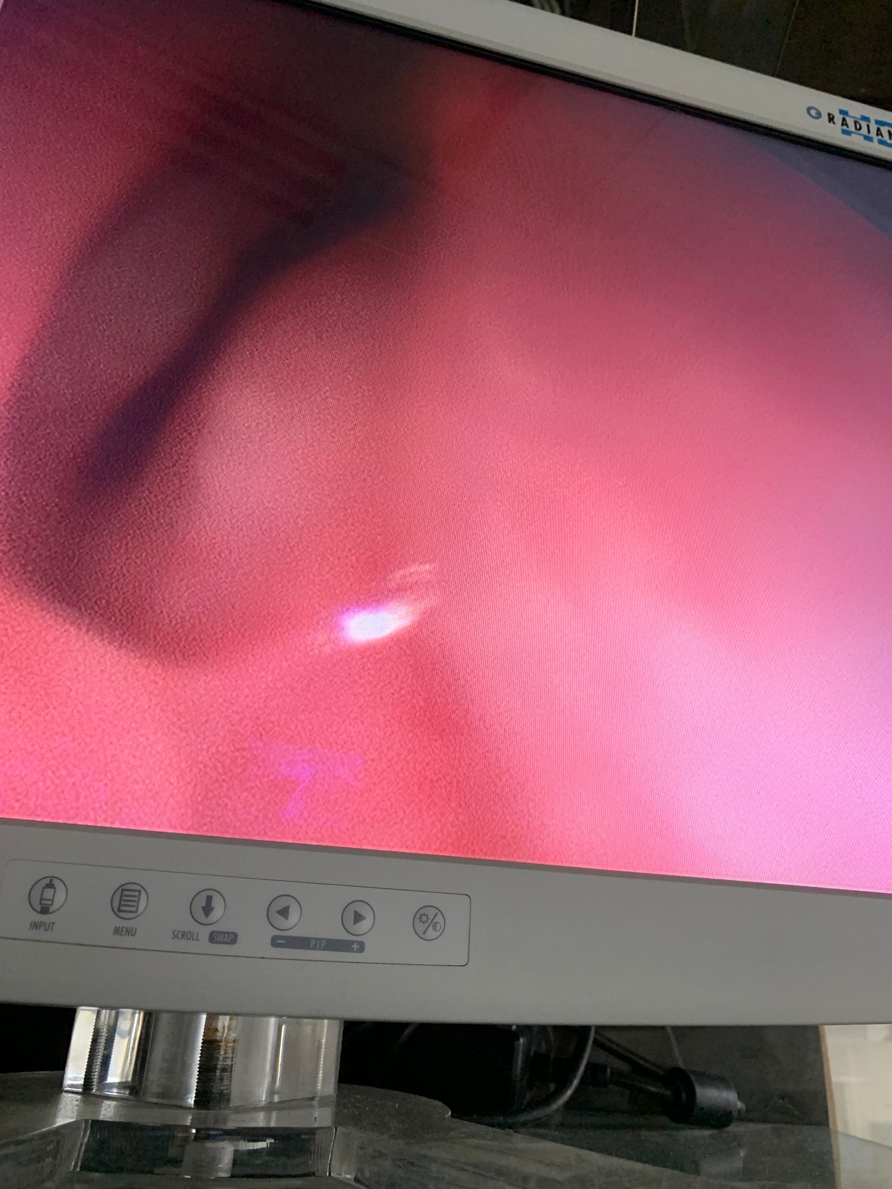 336 Reviews for Manish Munjal in Kitchlu Nagar, Ludhiana - Justdial