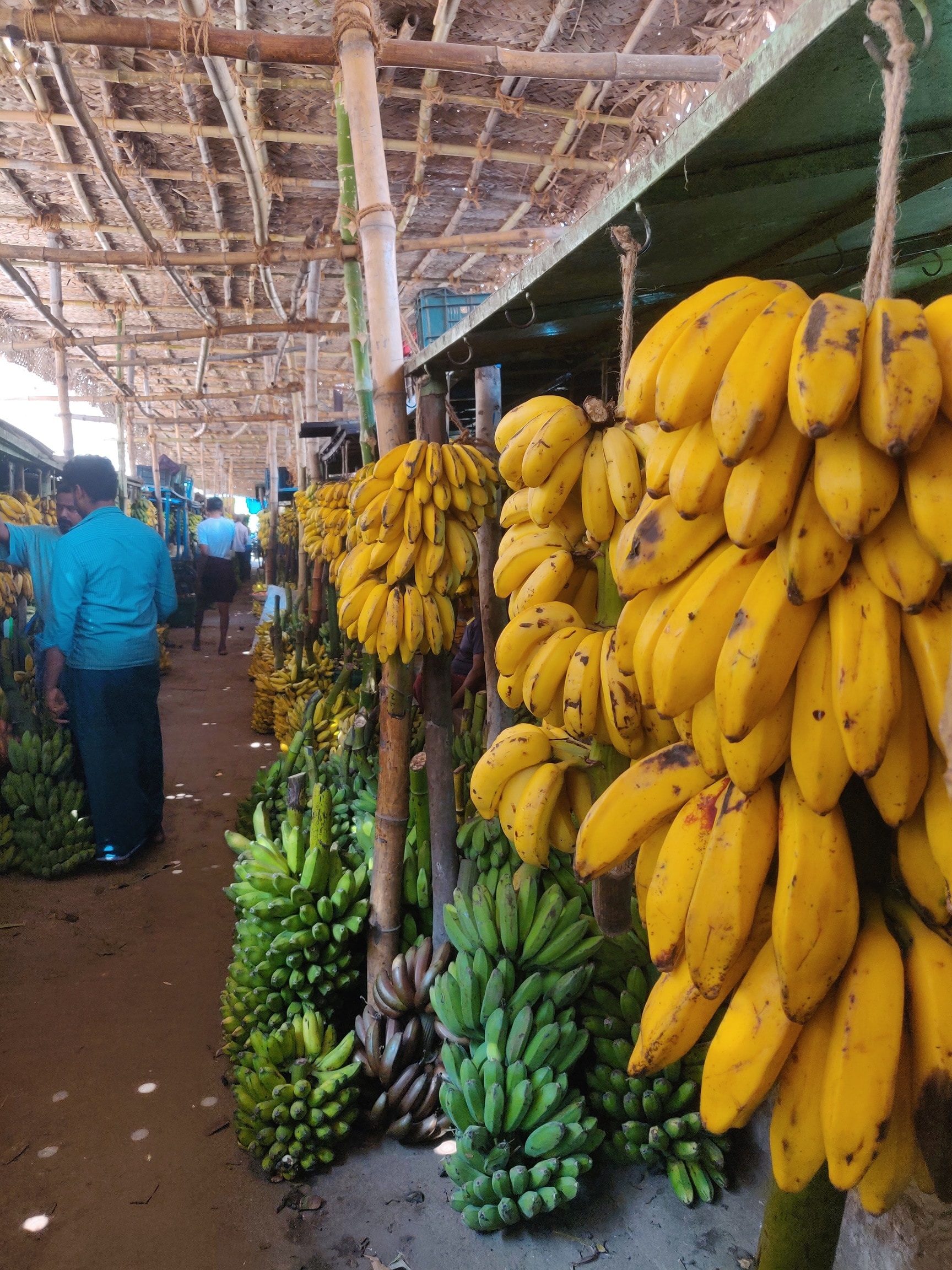 Banana Market in Madurai Bazaar,Madurai - Best Banana Fruit Dealers near me  in Madurai - Justdial