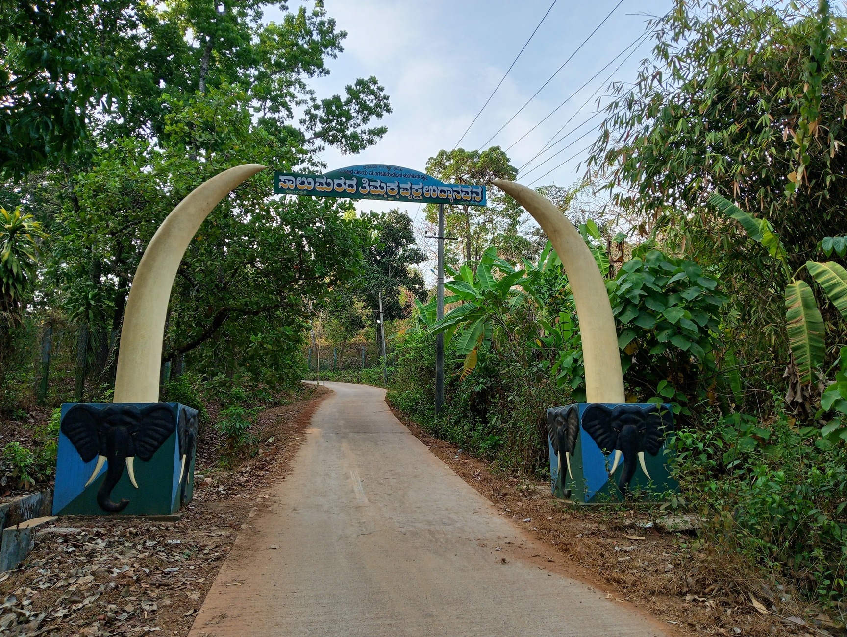 Coastal Karnataka Nature & Beach Escape 2N/3D - Image 1