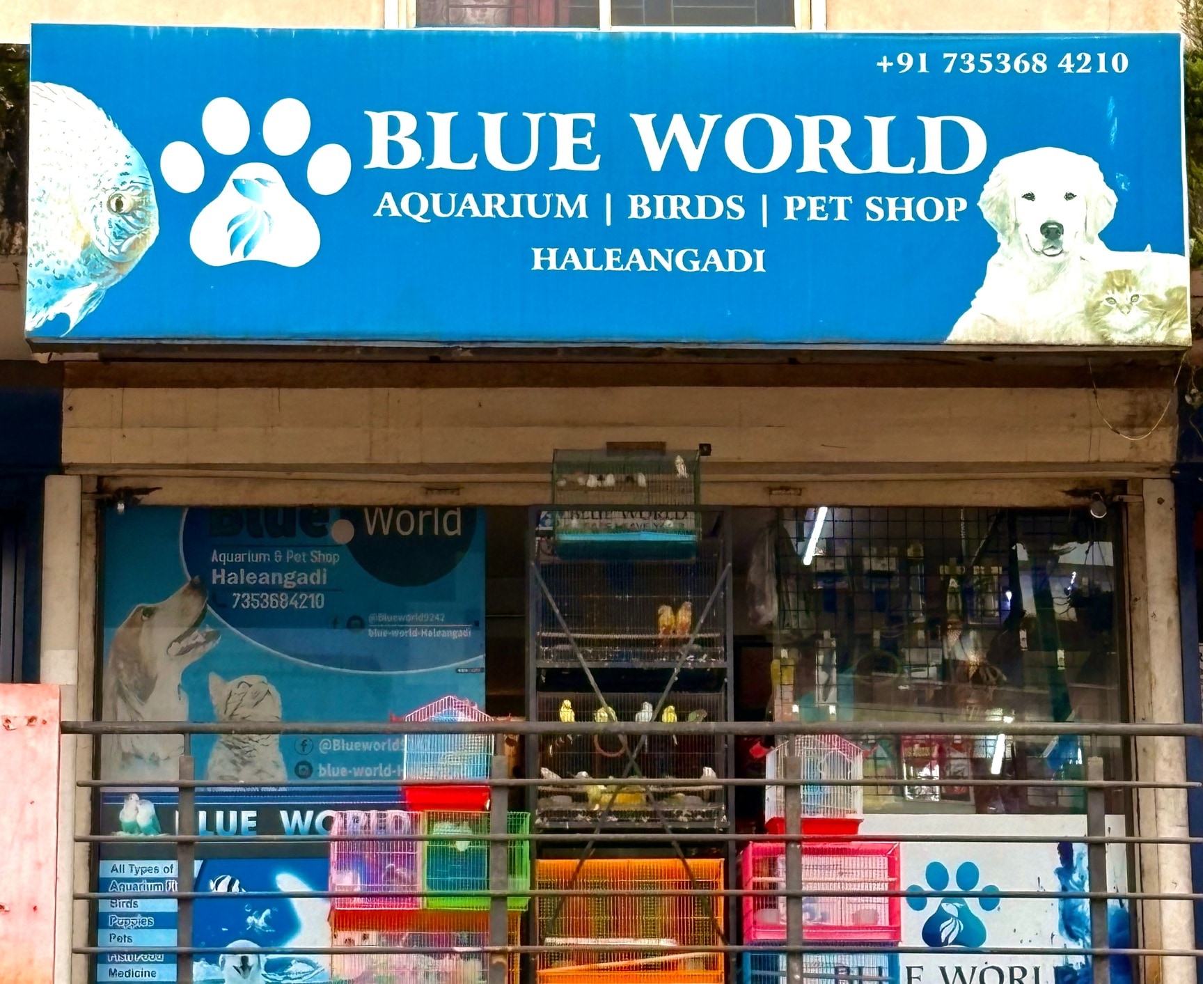 Fish Bowl in Goa Vibrant Aquariums Stunning Glass Designs