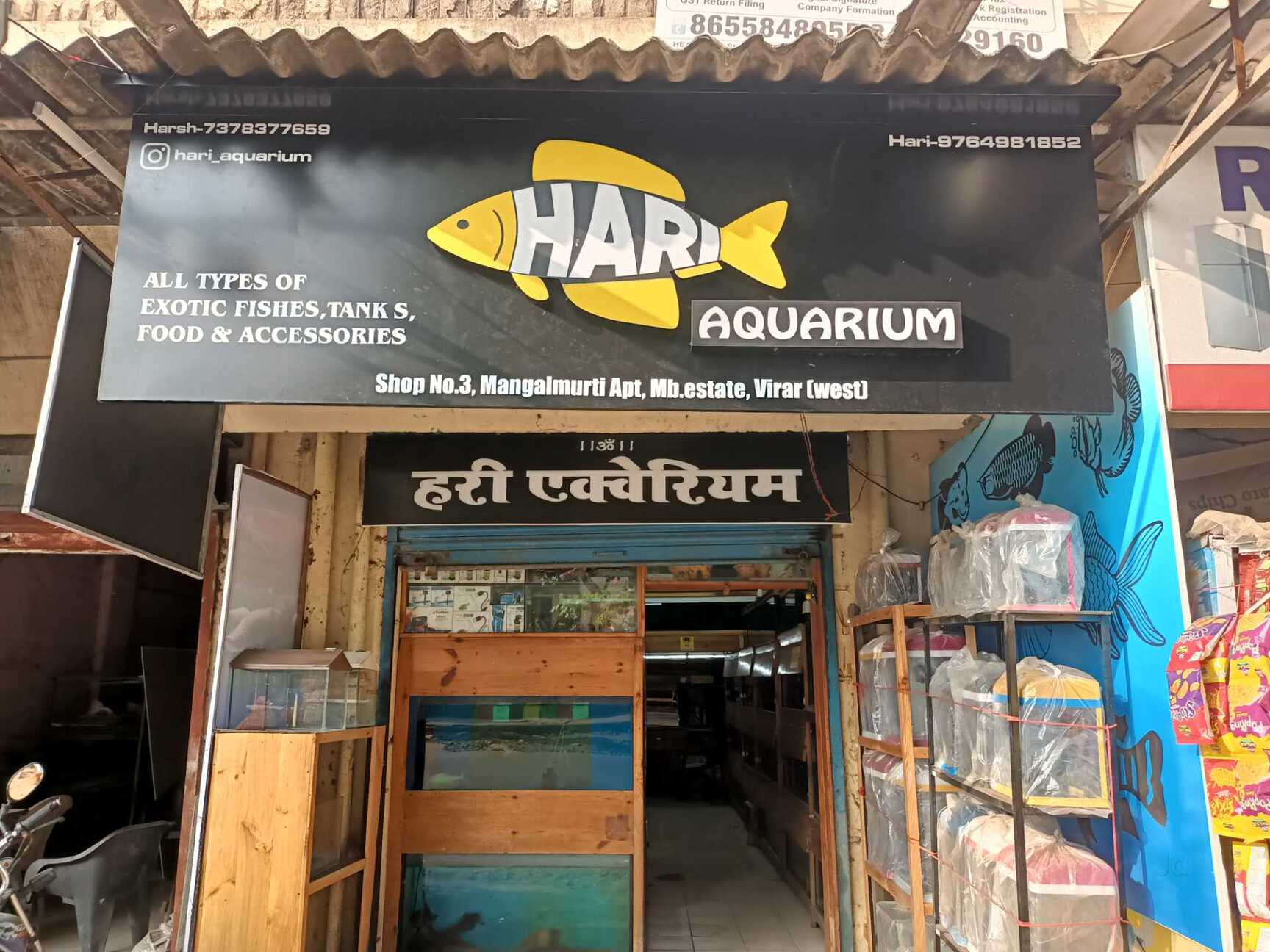 Hyderabad Divya Aquarium And Pet Shop Aquarium Filter In Ahmedabad