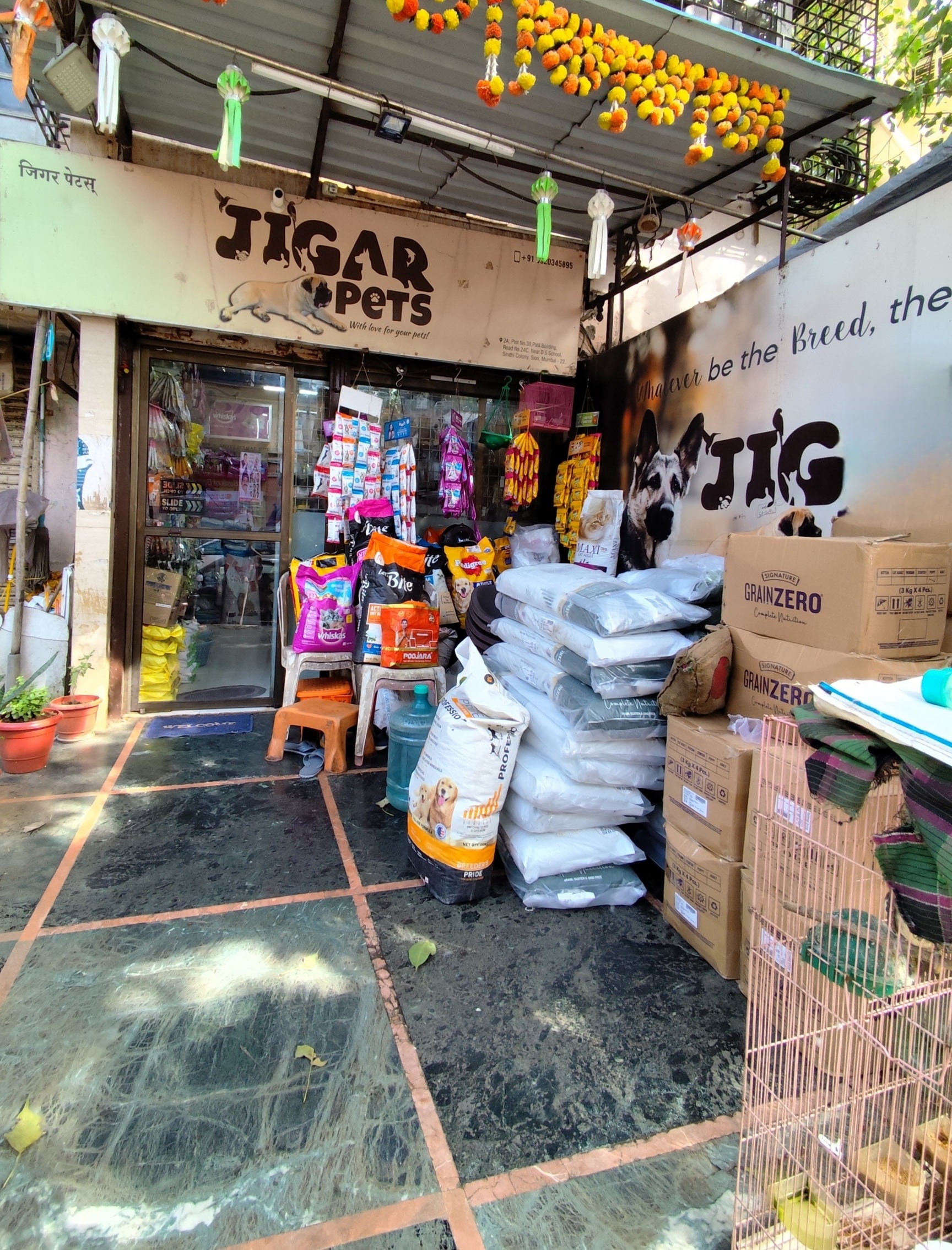 Pet Shops Wet Pets Shivajinagar Wet Pets Near Me New Arrivals