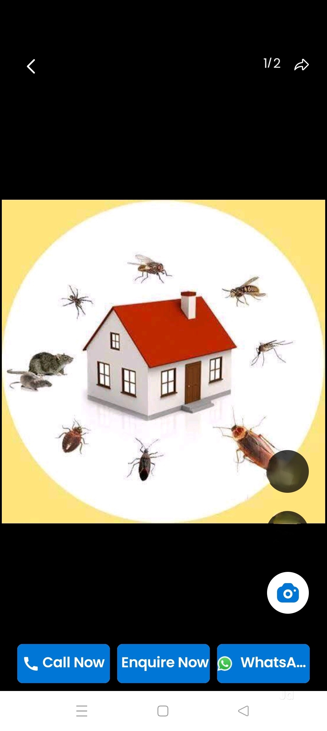 Residential Pest Control Services in Balaji Mandir Road Trombay, Mumbai ...