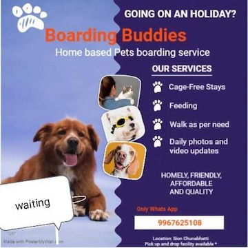 Pet Boarding In House Dog Trainer Near Me Dog Boarding Holidays