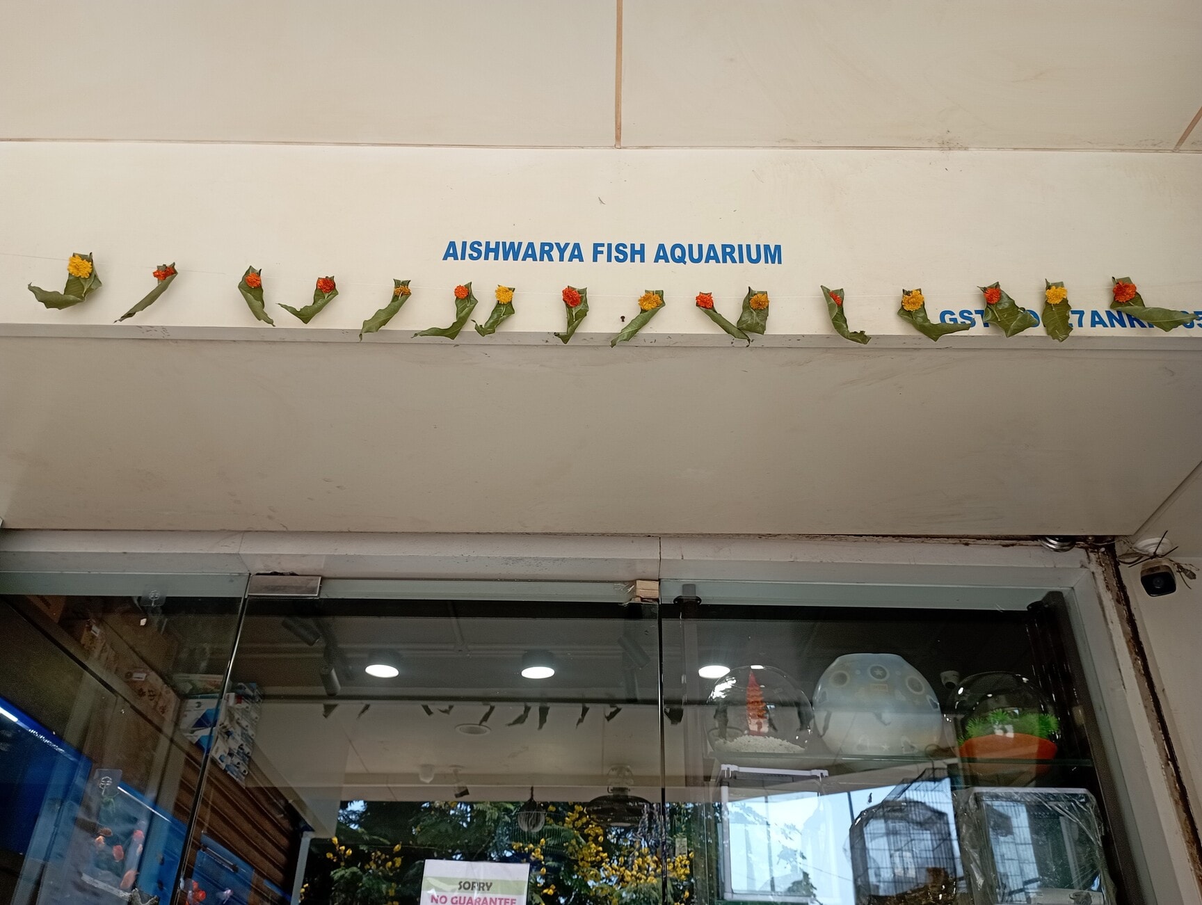 Aquarium Tank Aquarium Price Starting From Rs Find