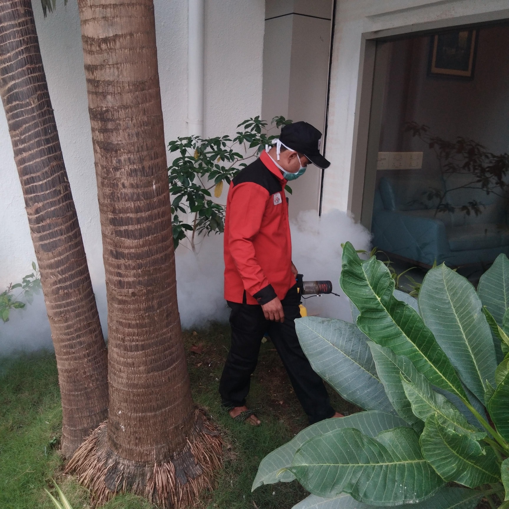 Pest Control Services in Balaji Mandir Road Trombay, Mumbai - Nearby ...