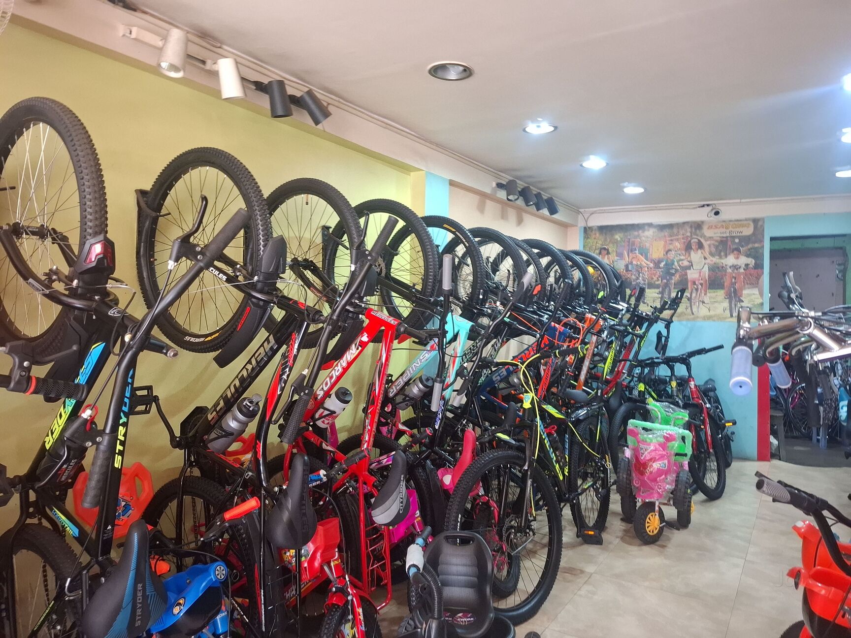 kalinga ashok premium cycle store near me