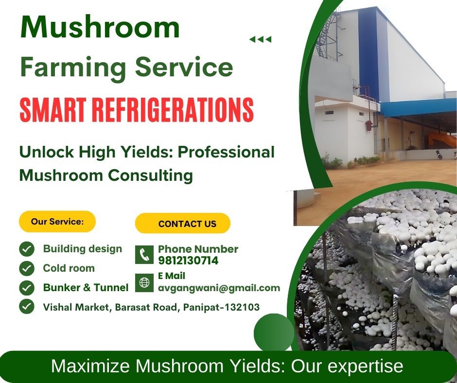 Top Cold Room Manufacturers near Yash Orthopaedic Hospital Valia Char ...