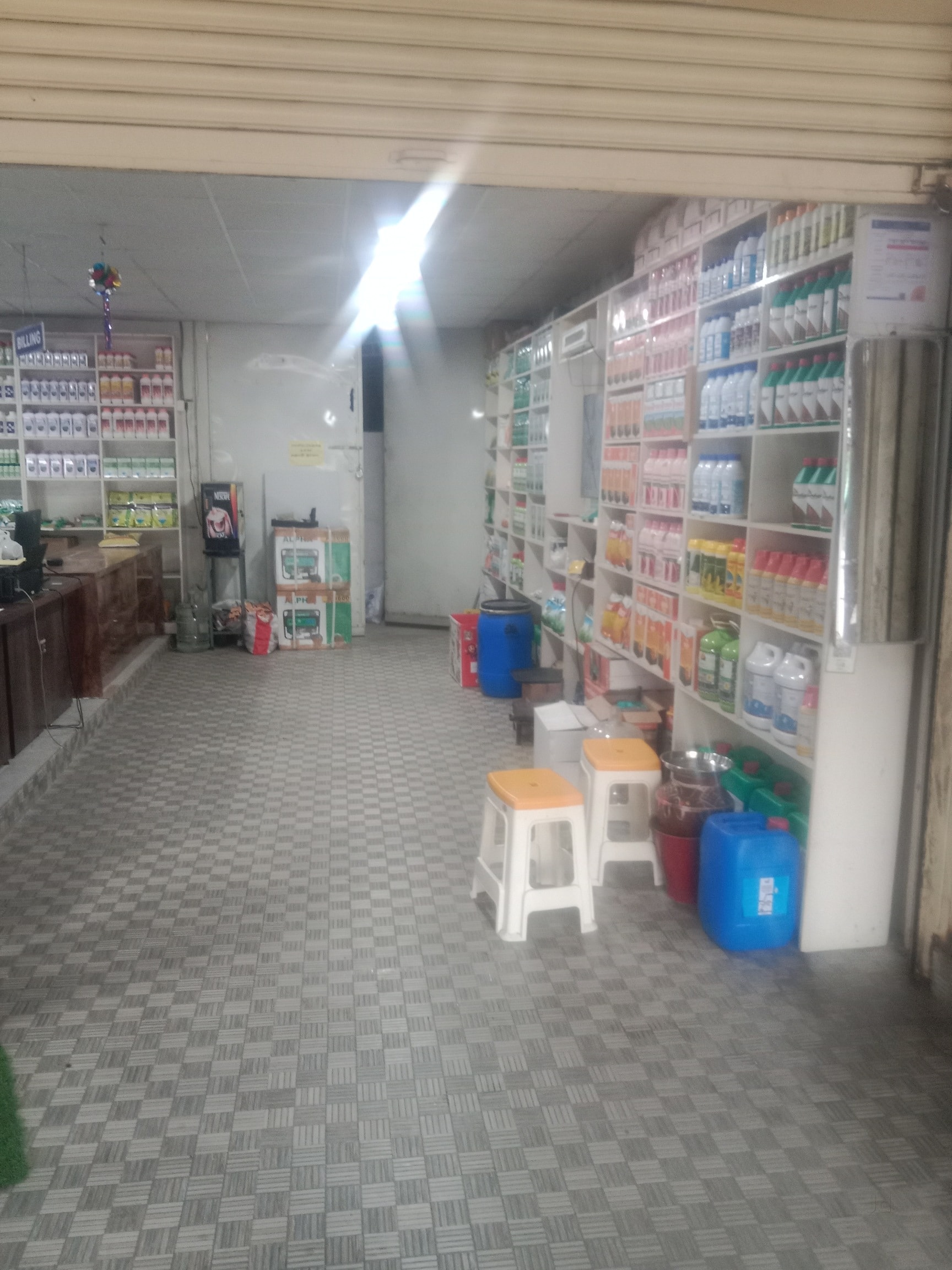 Seed Price Starting From Rs Find Verified Sellers in