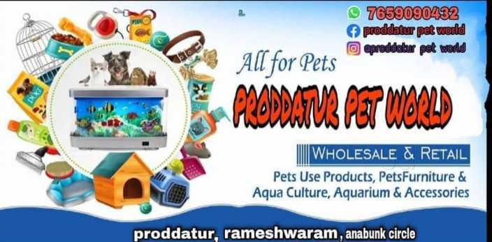Aquarium Fish Food in Hyderabad Nutritious Premium Options for