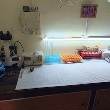 Lab view 2