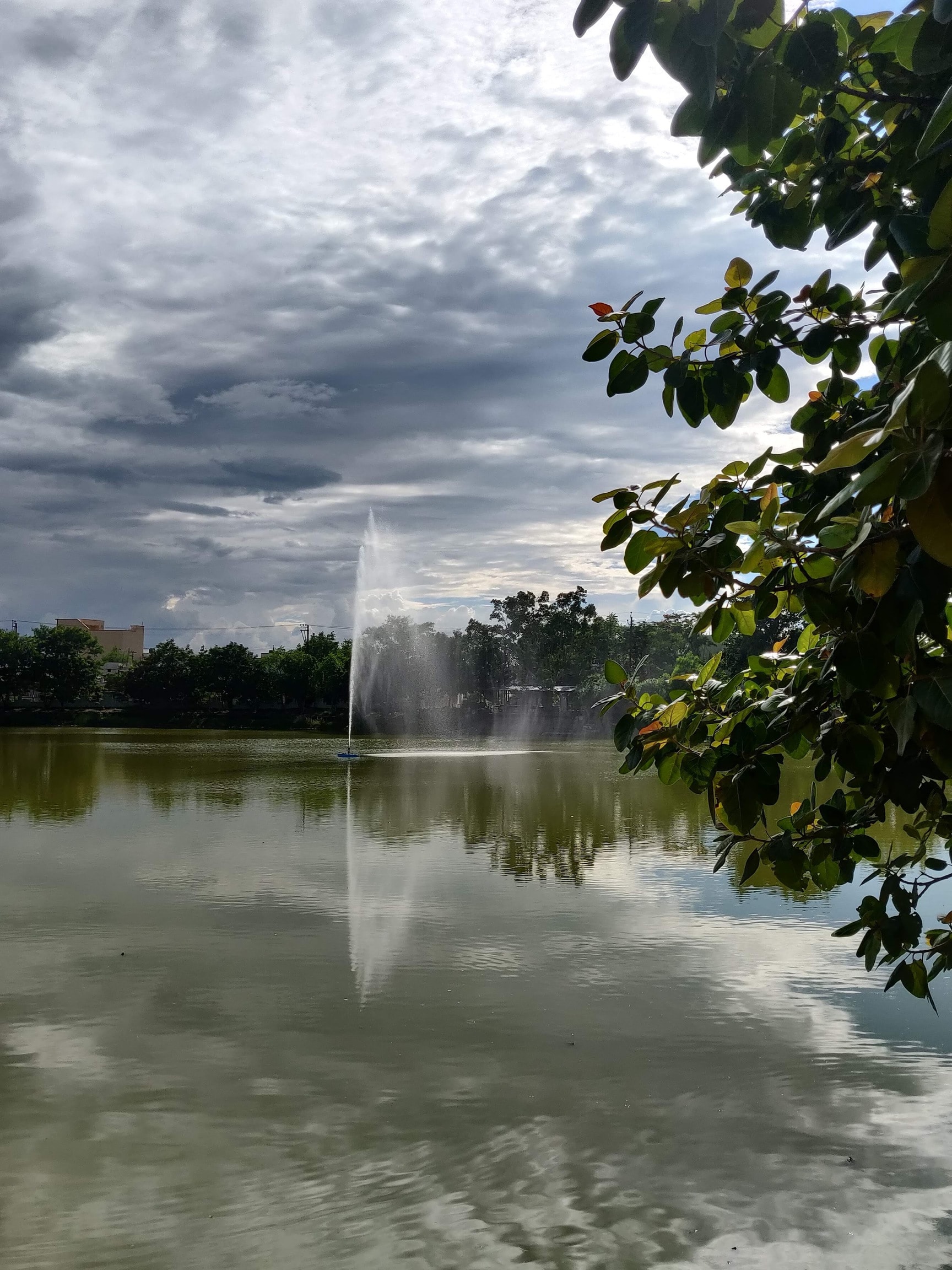 Garden Supplies in Raipur-chhattisgarh Quality Tools Essential