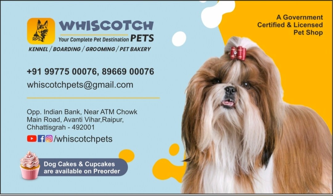 Canine Club Pet World Bilaspur Dog Cage In Salem Durable Spacious