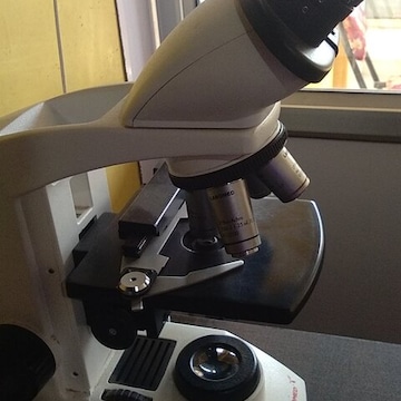 Lab view 6