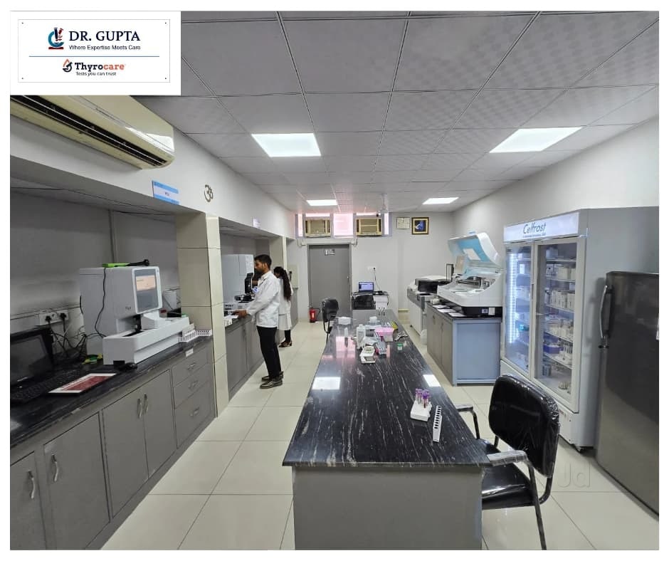 Lab view 11