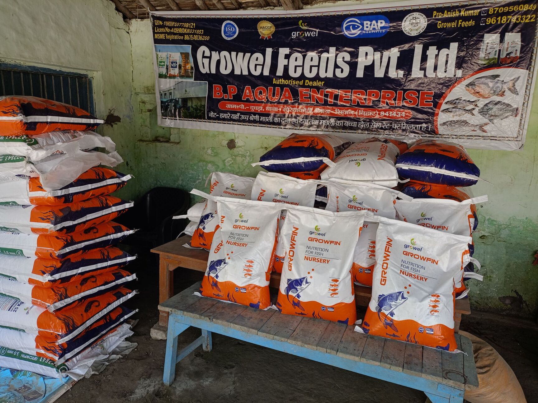 Fish Distributor B.P AQUA ENTERPRISE in Goreakothi, Siwan - Best Fish Food Distributors ...