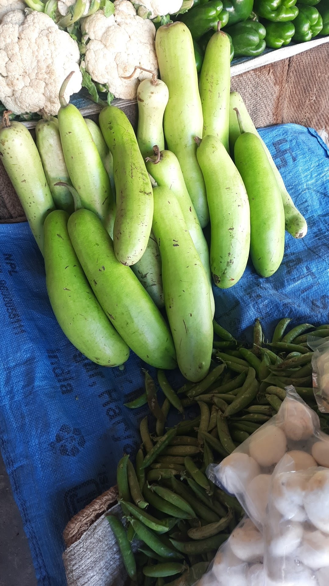 Surender Fruits and Vegetables in Kunihar,Solan - Best Fruit Vendors near  me in Solan - Justdial