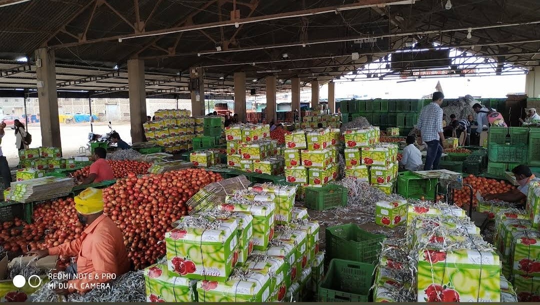 Pomegranate Market Yard in Sangola, Solapur - Best Pomegranate Fruit  Wholesalers in Solapur - Justdial