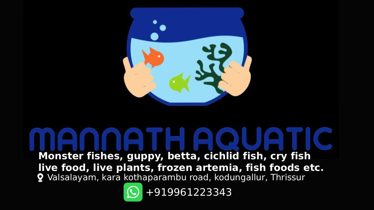 SOBO Aquarium Air Pumps Price Starting From Rs Find