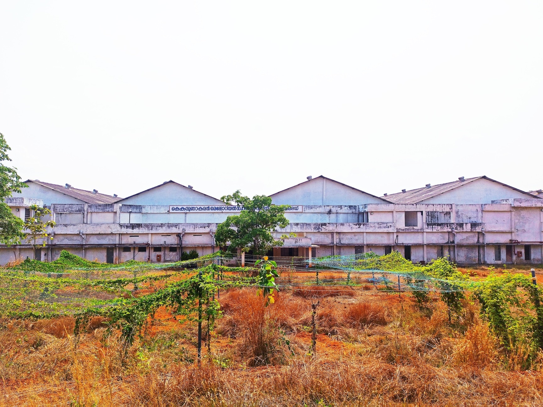 Weaving Yarn in Thrissur Durable Threads Colorful Fibers