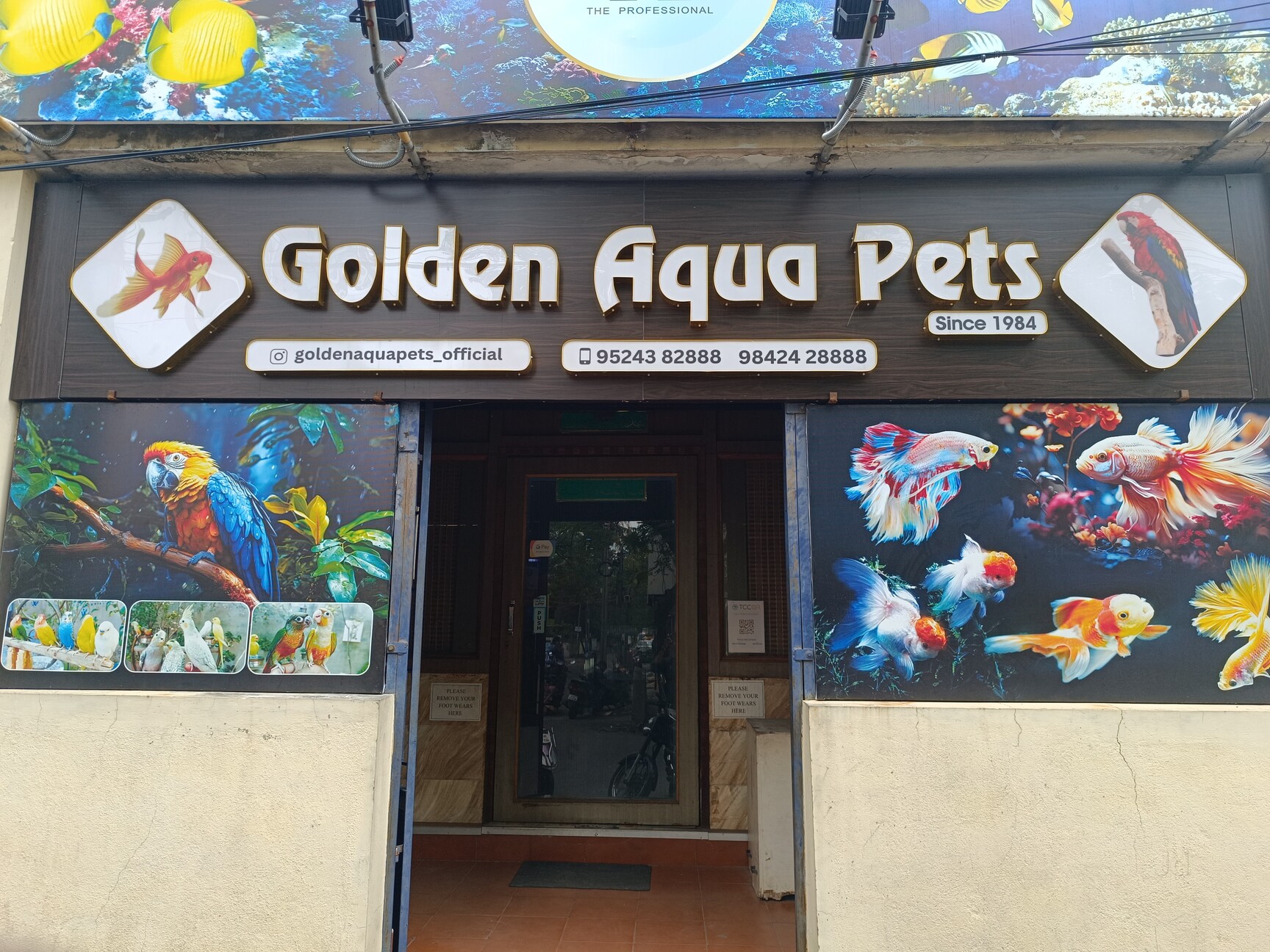 AQUARIUM ACCESSORY Essential, Innovative Stylish Supplies