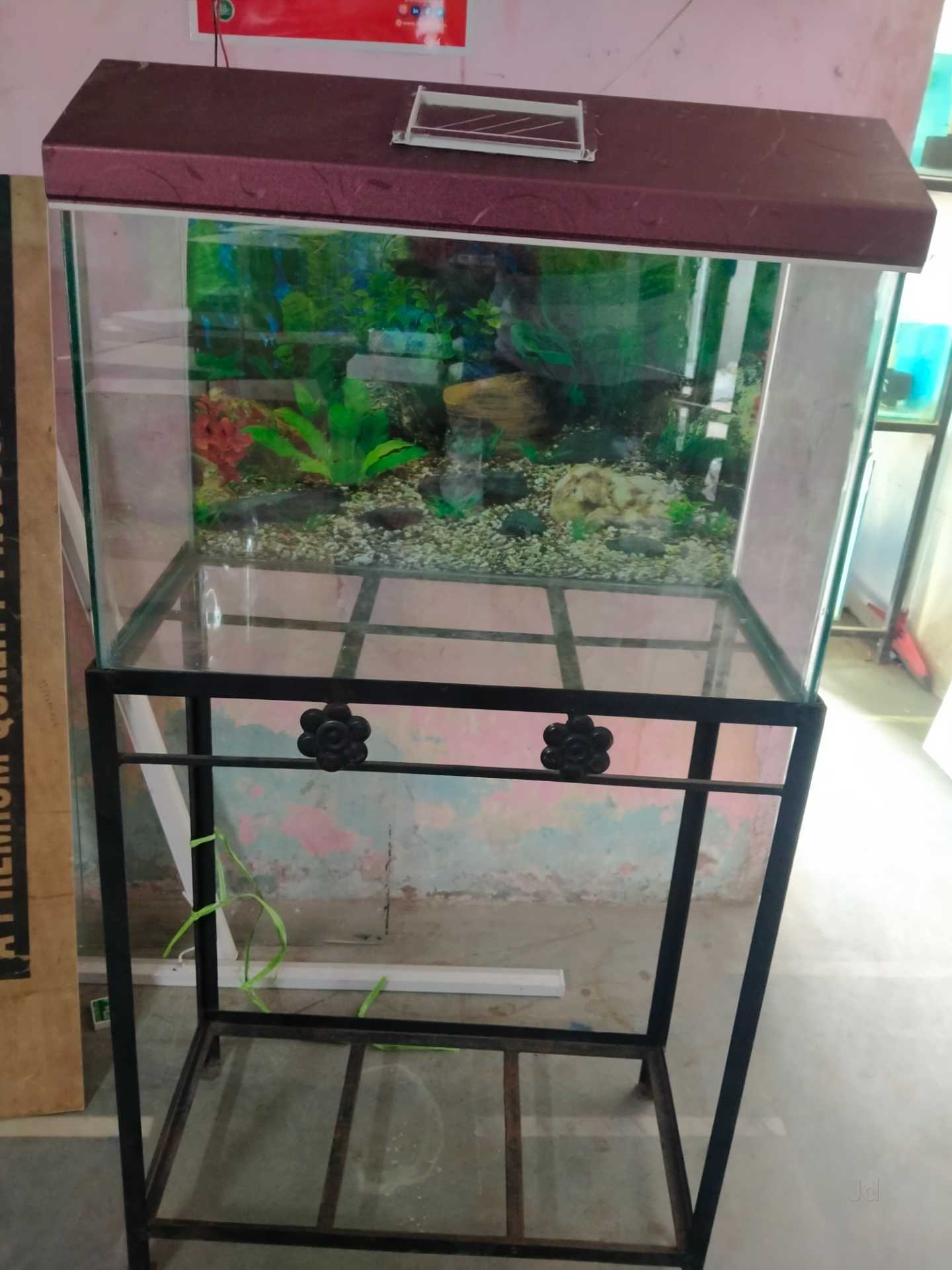 Aquarium Filter in Vadodara High-Quality Water Purifier and