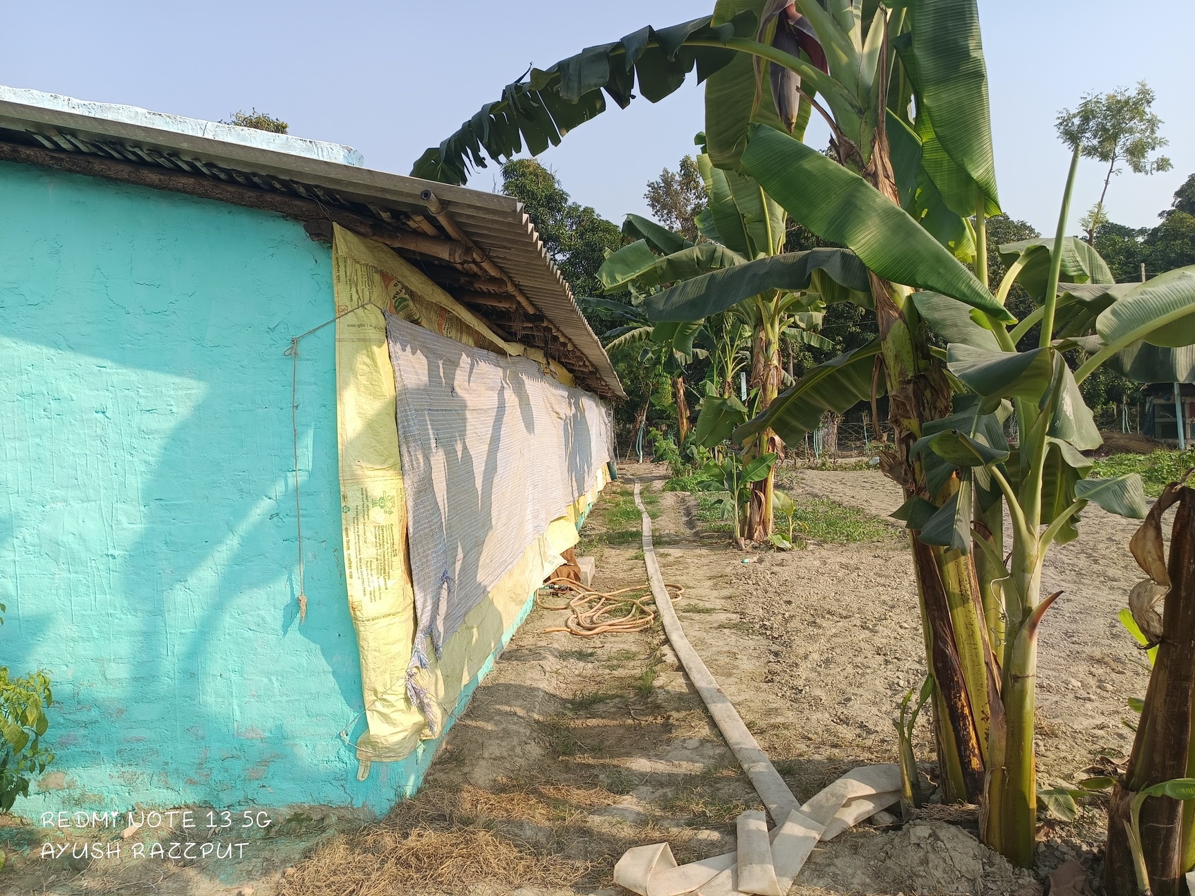 Anjali Poultry Farm in Lalganj, Vaishali - Best Poultry Farms in Vaishali -  Justdial