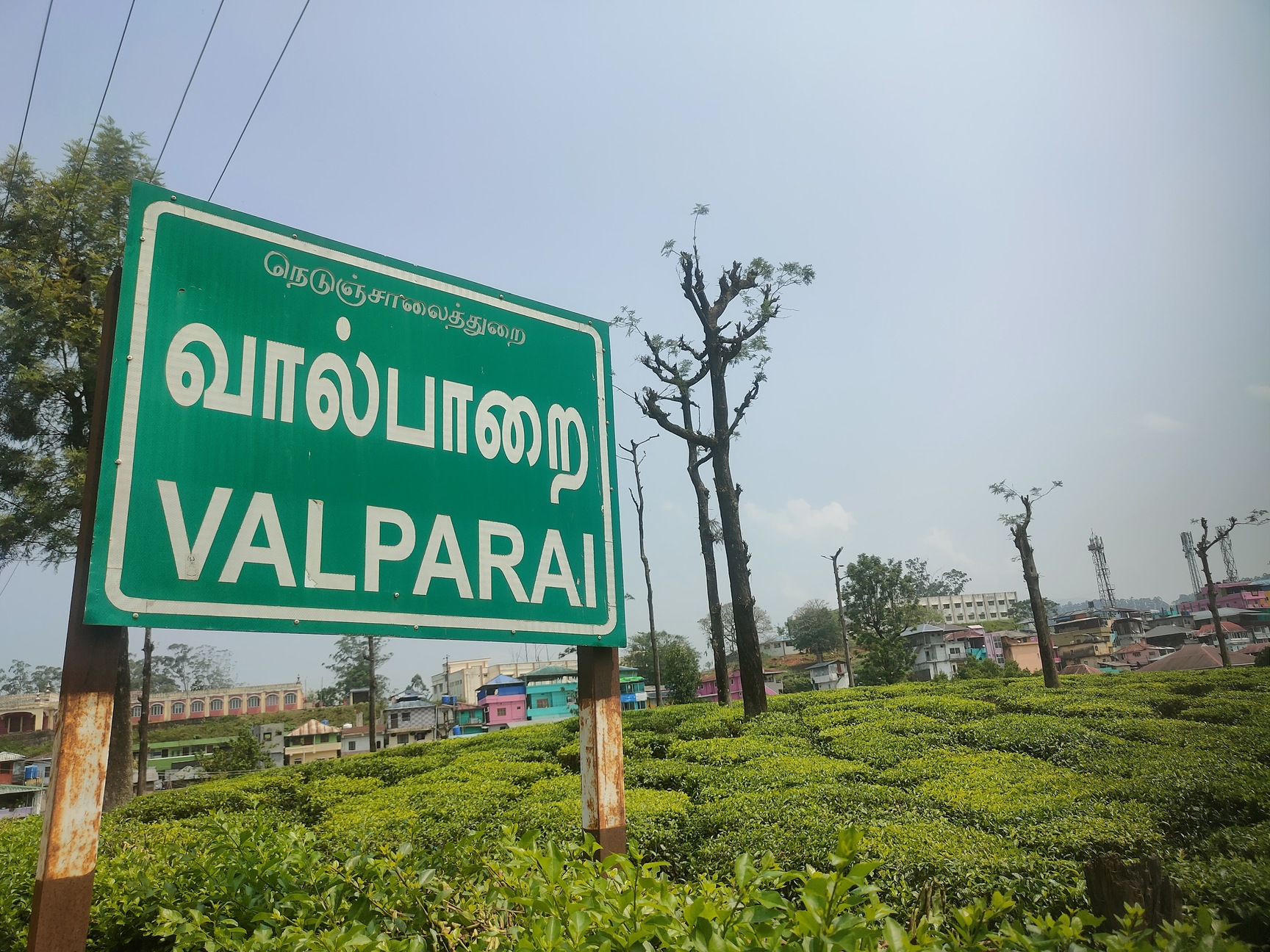 Valparai Rainforest