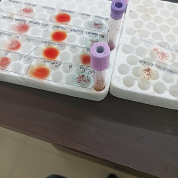 Lab view 9