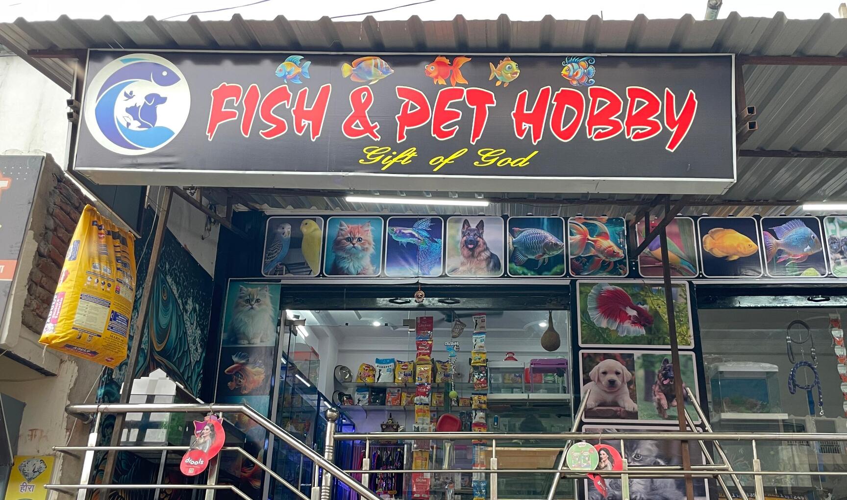 Fish Bowl in Bilaspur-chhattisgarh Vibrant Aquariums Stunning