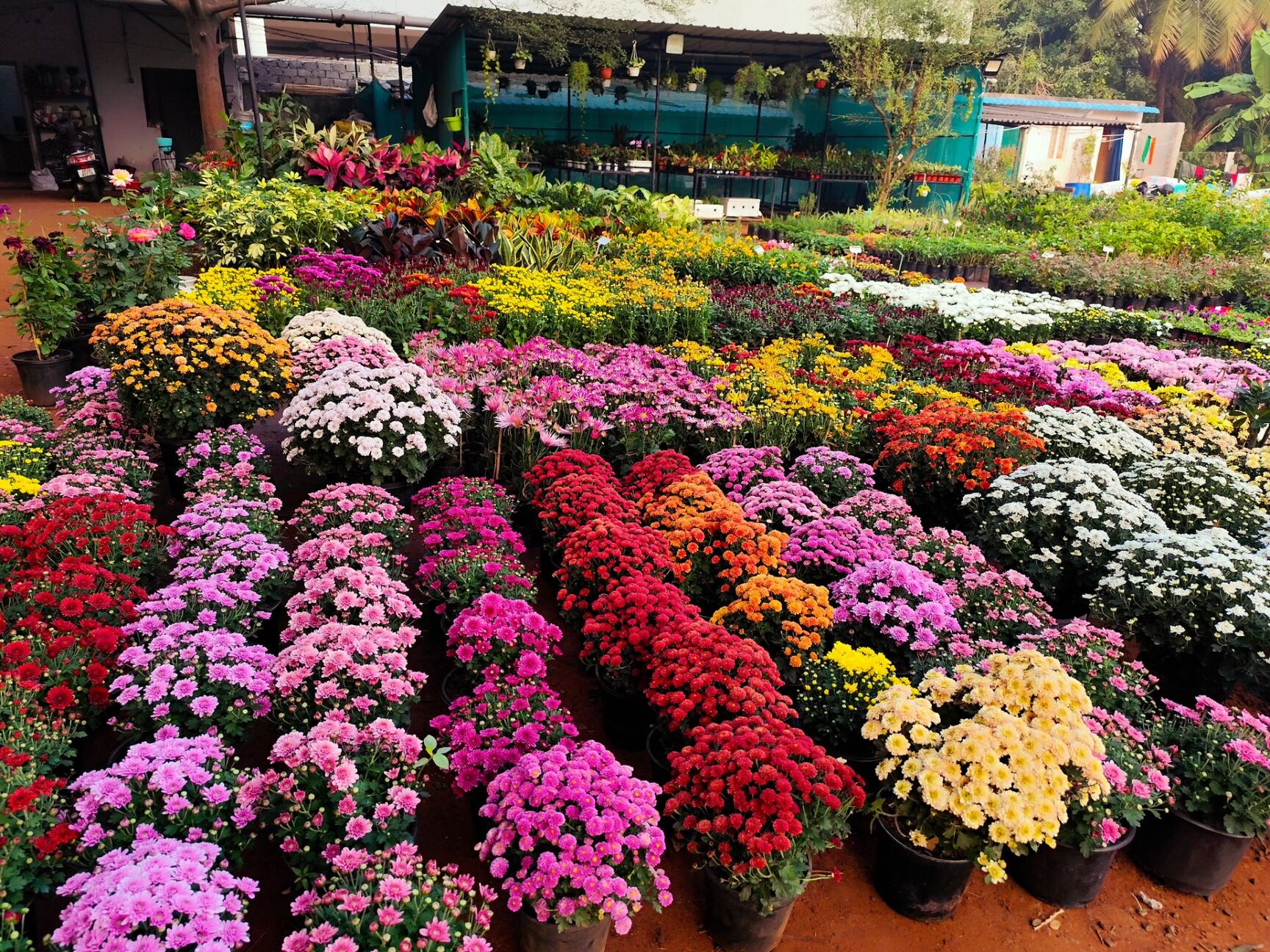 Green Care Nursery